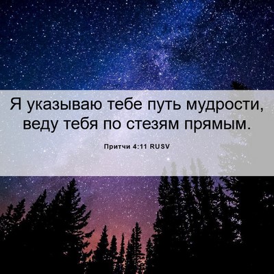 Picture 06 - Притчи 4:11 RUSV - Я указываю тебе путь - Bible Verse Picture