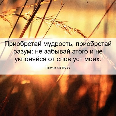 Picture 06 - Притчи 4:5 RUSV - Приобретай мудрость, - Bible Verse Picture