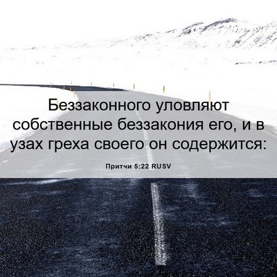 Picture 06 - Притчи 5:22 RUSV - Беззаконного уловляют - Bible Verse Picture