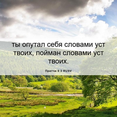 Picture 06 - Притчи 6:2 RUSV - ты опутал себя словами уст - Bible Verse Picture