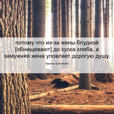 Picture 06 - Притчи 6:26 RUSV - потому что из-за жены - Bible Verse Picture