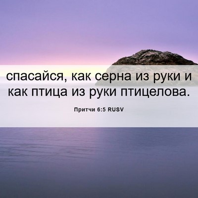 Picture 06 - Притчи 6:5 RUSV - спасайся, как серна из руки - Bible Verse Picture