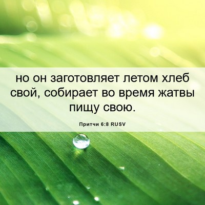 Picture 06 - Притчи 6:8 RUSV - но он заготовляет летом - Bible Verse Picture