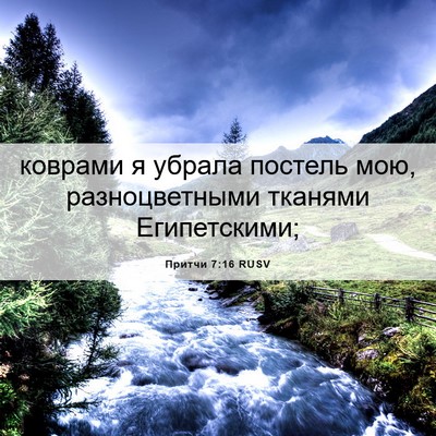 Picture 06 - Притчи 7:16 RUSV - коврами я убрала постель - Bible Verse Picture