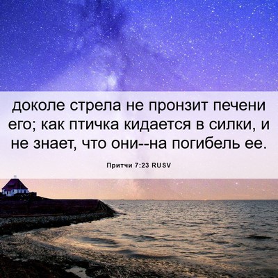 Picture 06 - Притчи 7:23 RUSV - доколе стрела не пронзит - Bible Verse Picture