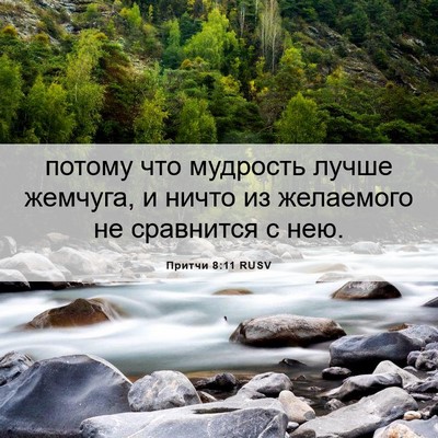 Picture 06 - Притчи 8:11 RUSV - потому что мудрость лучше - Bible Verse Picture