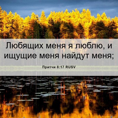 Picture 06 - Притчи 8:17 RUSV - Любящих меня я люблю, и - Bible Verse Picture