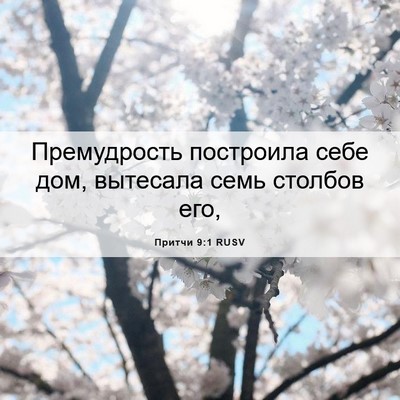 Picture 06 - Притчи 9:1 RUSV - Премудрость построила - Bible Verse Picture
