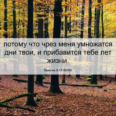 Picture 06 - Притчи 9:11 RUSV - потому что чрез меня - Bible Verse Picture