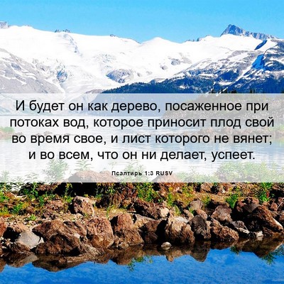 Picture 06 - Псалтирь 1:3 RUSV - И будет он как дерево, - Bible Verse Picture
