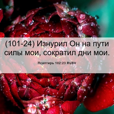 Picture 06 - Псалтирь 102:23 RUSV - (101-24) Изнурил Он на пути - Bible Verse Picture