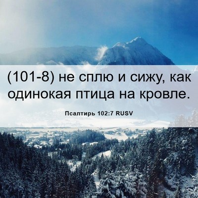 Picture 06 - Псалтирь 102:7 RUSV - (101-8) не сплю и сижу, как - Bible Verse Picture
