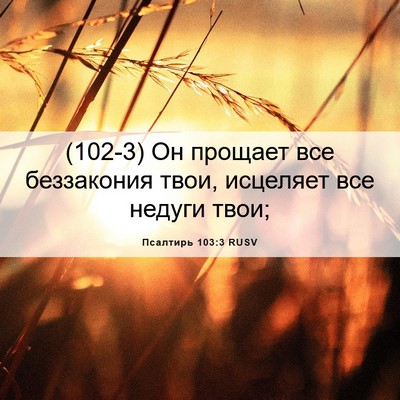 Picture 06 - Псалтирь 103:3 RUSV - (102-3) Он прощает все - Bible Verse Picture