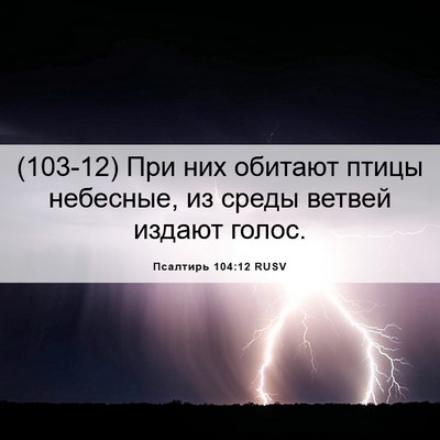 Picture 06 - Псалтирь 104:12 RUSV - (103-12) При них обитают птицы - Bible Verse Picture