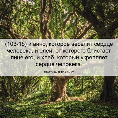 Picture 06 - Псалтирь 104:15 RUSV - (103-15) и вино, которое - Bible Verse Picture