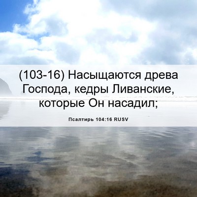 Picture 06 - Псалтирь 104:16 RUSV - (103-16) Насыщаются древа - Bible Verse Picture
