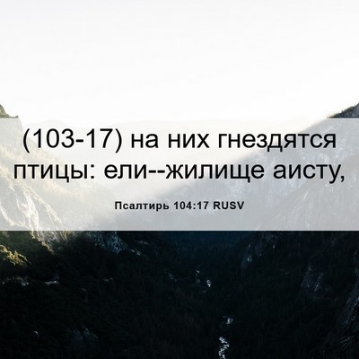 Picture 06 - Псалтирь 104:17 RUSV - (103-17) на них гнездятся - Bible Verse Picture