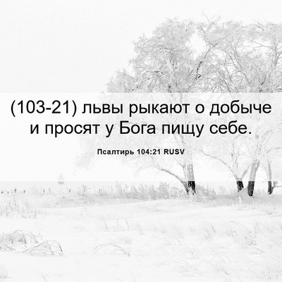 Picture 06 - Псалтирь 104:21 RUSV - (103-21) львы рыкают о добыче и - Bible Verse Picture