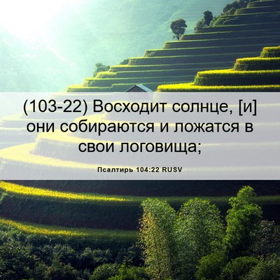 Picture 06 - Псалтирь 104:22 RUSV - (103-22) Восходит солнце, [и] - Bible Verse Picture