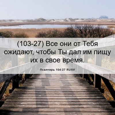 Picture 06 - Псалтирь 104:27 RUSV - (103-27) Все они от Тебя - Bible Verse Picture