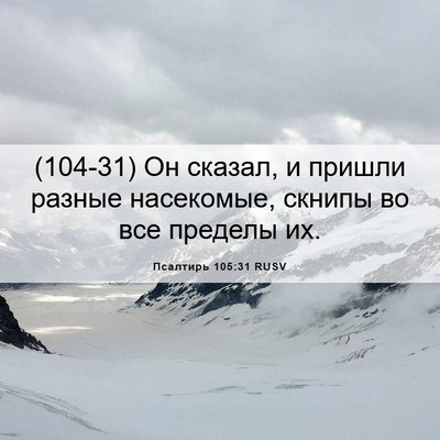 Picture 06 - Псалтирь 105:31 RUSV - (104-31) Он сказал, и пришли - Bible Verse Picture
