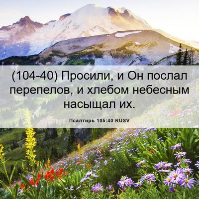 Picture 06 - Псалтирь 105:40 RUSV - (104-40) Просили, и Он послал - Bible Verse Picture