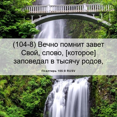 Picture 06 - Псалтирь 105:8 RUSV - (104-8) Вечно помнит завет - Bible Verse Picture