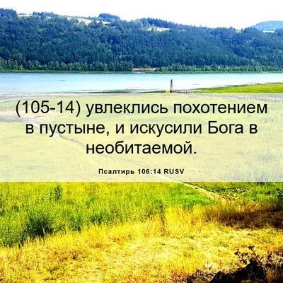 Picture 06 - Псалтирь 106:14 RUSV - (105-14) увлеклись похотением - Bible Verse Picture
