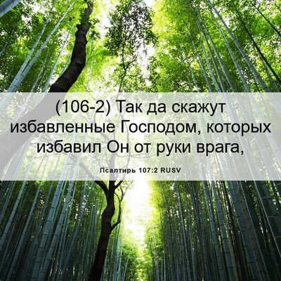 Picture 06 - Псалтирь 107:2 RUSV - (106-2) Так да скажут - Bible Verse Picture