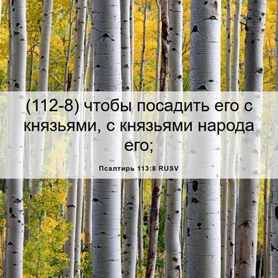 Picture 06 - Псалтирь 113:8 RUSV - (112-8) чтобы посадить его с - Bible Verse Picture