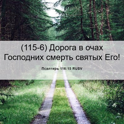 Picture 06 - Псалтирь 116:15 RUSV - (115-6) Дорога в очах - Bible Verse Picture