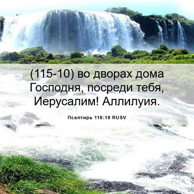 Picture 06 - Псалтирь 116:19 RUSV - (115-10) во дворах дома - Bible Verse Picture