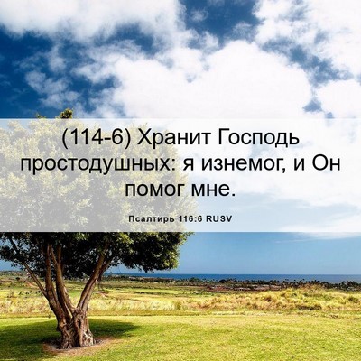 Picture 06 - Псалтирь 116:6 RUSV - (114-6) Хранит Господь - Bible Verse Picture
