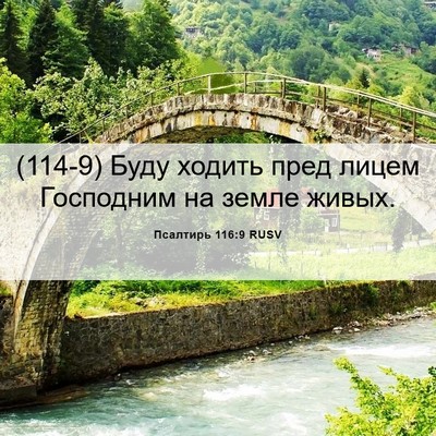 Picture 06 - Псалтирь 116:9 RUSV - (114-9) Буду ходить пред лицем - Bible Verse Picture