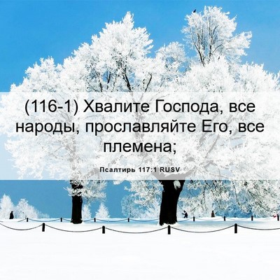 Picture 06 - Псалтирь 117:1 RUSV - (116-1) Хвалите Господа, все - Bible Verse Picture
