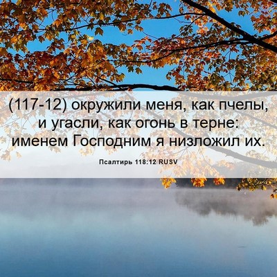 Picture 06 - Псалтирь 118:12 RUSV - (117-12) окружили меня, как - Bible Verse Picture