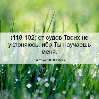 Picture 06 - Псалтирь 119:102 RUSV - (118-102) от судов Твоих не - Bible Verse Picture