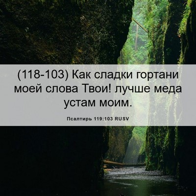 Picture 06 - Псалтирь 119:103 RUSV - (118-103) Как сладки гортани - Bible Verse Picture