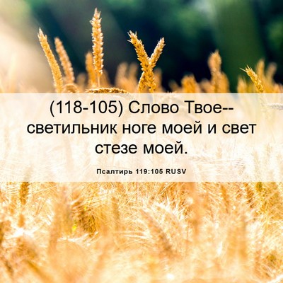 Picture 06 - Псалтирь 119:105 RUSV - (118-105) Слово - Bible Verse Picture