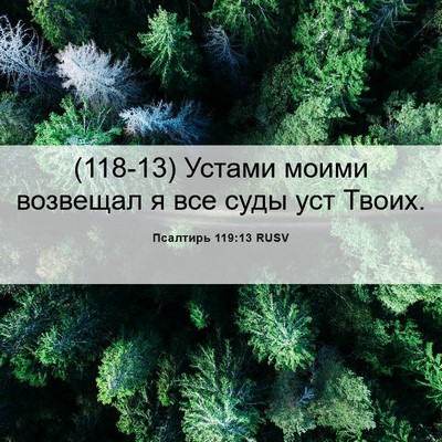 Picture 06 - Псалтирь 119:13 RUSV - (118-13) Устами моими возвещал - Bible Verse Picture