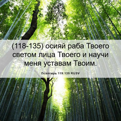 Picture 06 - Псалтирь 119:135 RUSV - (118-135) осияй раба Твоего - Bible Verse Picture