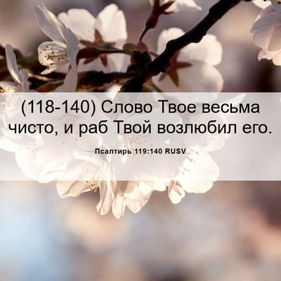 Picture 06 - Псалтирь 119:140 RUSV - (118-140) Слово Твое весьма - Bible Verse Picture