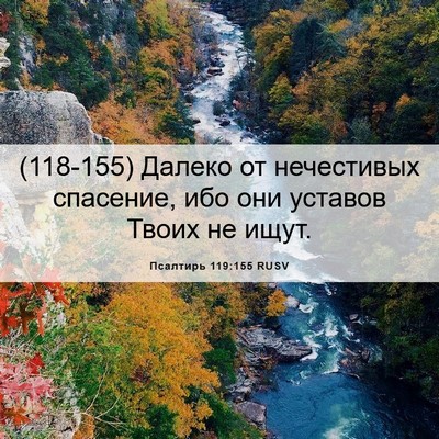 Picture 06 - Псалтирь 119:155 RUSV - (118-155) Далеко от нечестивых - Bible Verse Picture