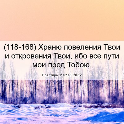 Picture 06 - Псалтирь 119:168 RUSV - (118-168) Храню повеления Твои - Bible Verse Picture