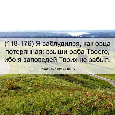 Picture 06 - Псалтирь 119:176 RUSV - (118-176) Я заблудился, как - Bible Verse Picture