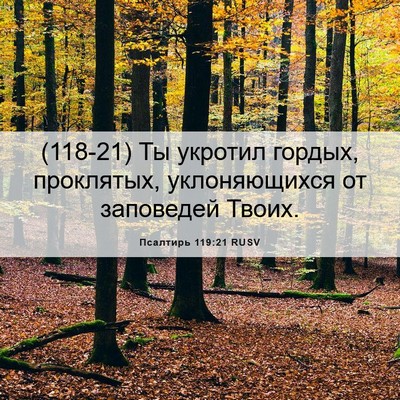 Picture 06 - Псалтирь 119:21 RUSV - (118-21) Ты укротил гордых, - Bible Verse Picture