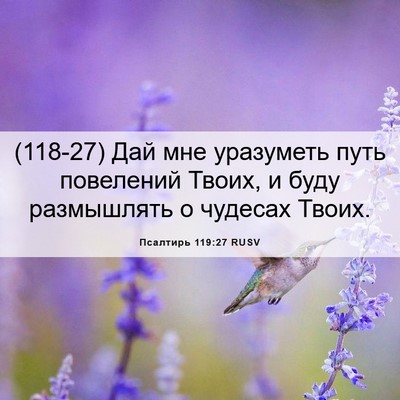 Picture 06 - Псалтирь 119:27 RUSV - (118-27) Дай мне уразуметь - Bible Verse Picture