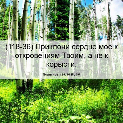 Picture 06 - Псалтирь 119:36 RUSV - (118-36) Приклони сердце мое к - Bible Verse Picture