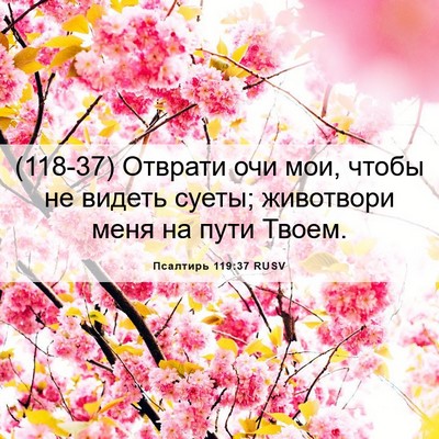 Picture 06 - Псалтирь 119:37 RUSV - (118-37) Отврати очи мои, чтобы - Bible Verse Picture