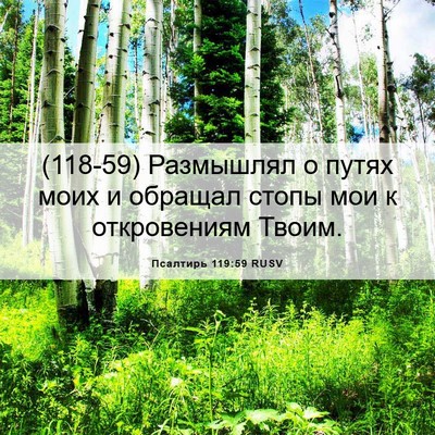 Picture 06 - Псалтирь 119:59 RUSV - (118-59) Размышлял о путях - Bible Verse Picture